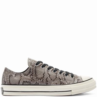 Converse Archive Reptile Chuck 70 - Miesten Tennarit - Harmaat/Beige